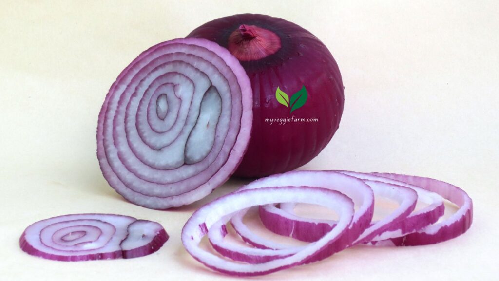 Antioxidants in onions