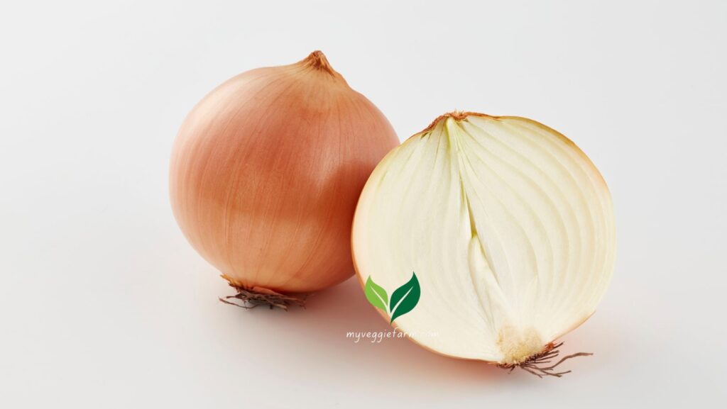 Are cipollini onions low-carb