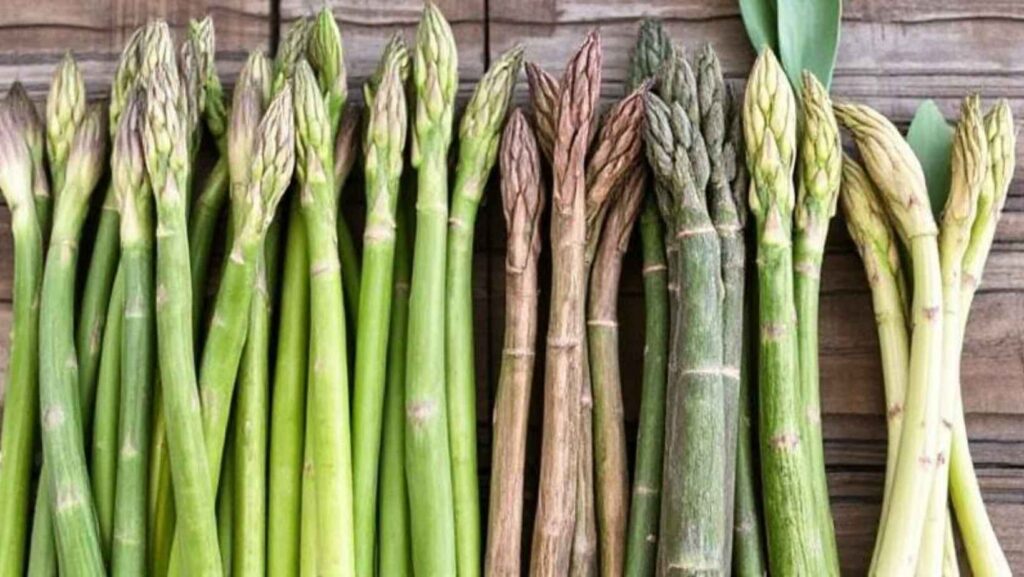 The most common asparagus varieties in the U.S.