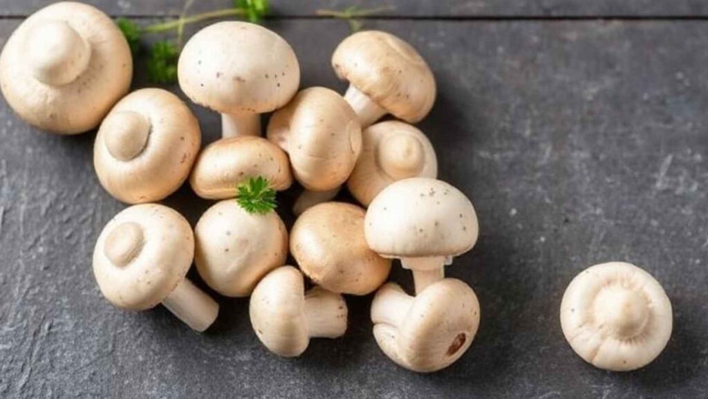 What to substitute for button mushrooms